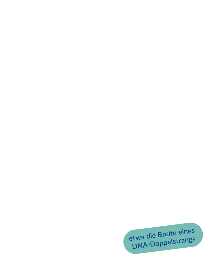 Grössenvergleich: Haar, Kannenfilter, Aktivkohle und nano-drink