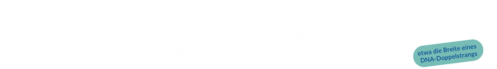 Grössenvergleich: Haar, Kannenfilter, Aktivkohle und nano-drink